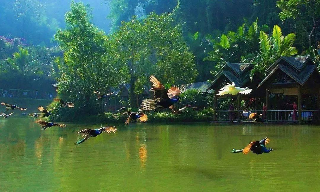 豆娃爱糖果3