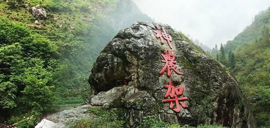 救援秀气的男孩
